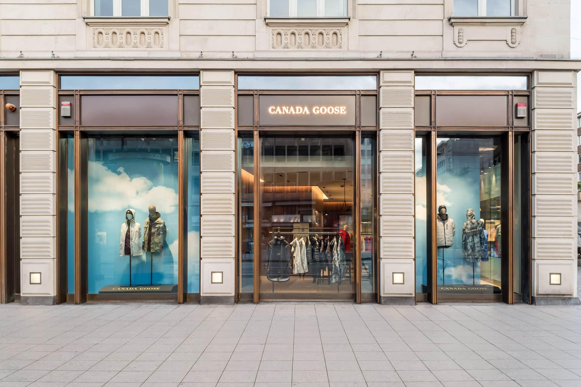 Canada Goose, Frankfurt - Rathenauplatz Canada Goose, Frankfurt - Rathenauplatz